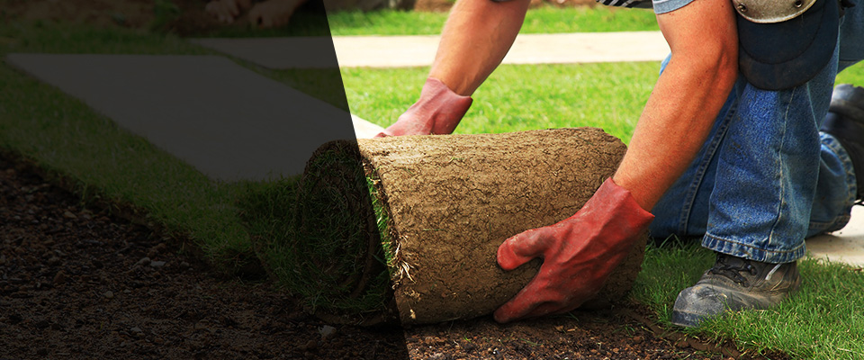 River Rouge Landscapers